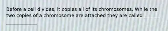 Before a cell divides, it copies all of its chromosomes. While the two copies of a chromosome are attached they are called _______ _____________.