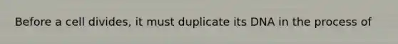 Before a cell divides, it must duplicate its DNA in the process of