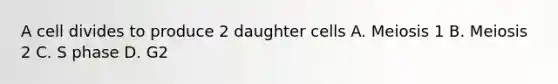 A cell divides to produce 2 daughter cells A. Meiosis 1 B. Meiosis 2 C. S phase D. G2