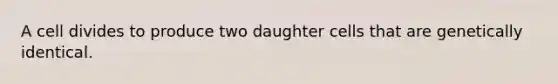 A cell divides to produce two daughter cells that are genetically identical.