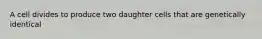 A cell divides to produce two daughter cells that are genetically identical