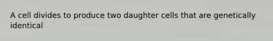 A cell divides to produce two daughter cells that are genetically identical