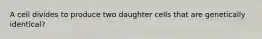 A cell divides to produce two daughter cells that are genetically identical?