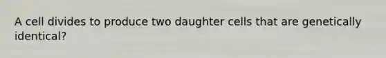 A cell divides to produce two daughter cells that are genetically identical?