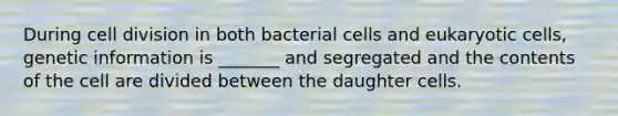 During cell division in both bacterial cells and eukaryotic cells, genetic information is _______ and segregated and the contents of the cell are divided between the daughter cells.