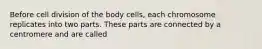 Before cell division of the body cells, each chromosome replicates into two parts. These parts are connected by a centromere and are called