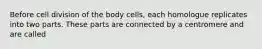 Before cell division of the body cells, each homologue replicates into two parts. These parts are connected by a centromere and are called