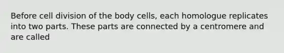 Before cell division of the body cells, each homologue replicates into two parts. These parts are connected by a centromere and are called