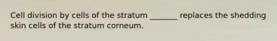 Cell division by cells of the stratum _______ replaces the shedding skin cells of the stratum corneum.