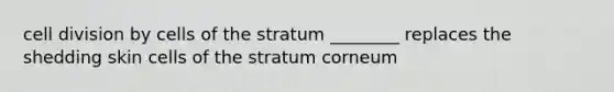 cell division by cells of the stratum ________ replaces the shedding skin cells of the stratum corneum