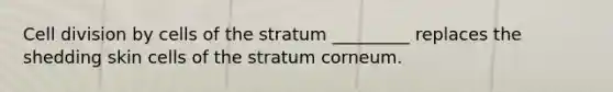 Cell division by cells of the stratum _________ replaces the shedding skin cells of the stratum corneum.