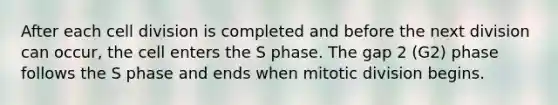 After each cell division is completed and before the next division can occur, the cell enters the S phase. The gap 2 (G2) phase follows the S phase and ends when mitotic division begins.