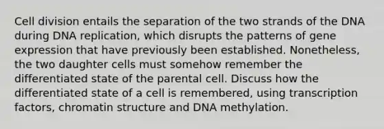 Cell division entails the separation of the two strands of the DNA during DNA replication, which disrupts the patterns of gene expression that have previously been established. Nonetheless, the two daughter cells must somehow remember the differentiated state of the parental cell. Discuss how the differentiated state of a cell is remembered, using transcription factors, chromatin structure and DNA methylation.