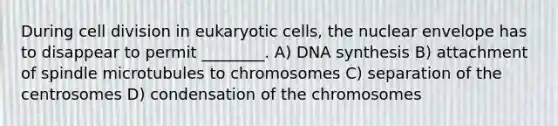 During cell division in eukaryotic cells, the nuclear envelope has to disappear to permit ________. A) DNA synthesis B) attachment of spindle microtubules to chromosomes C) separation of the centrosomes D) condensation of the chromosomes