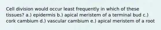 Cell division would occur least frequently in which of these tissues? a.) epidermis b.) apical meristem of a terminal bud c.) cork cambium d.) vascular cambium e.) apical meristem of a root