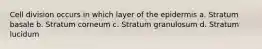 Cell division occurs in which layer of the epidermis a. Stratum basale b. Stratum corneum c. Stratum granulosum d. Stratum lucidum