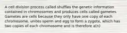 A cell division process called shuffles the genetic information contained in chromosomes and produces cells called gametes. Gametes are cells because they only have one copy of each chromosome. unites sperm and egg to form a zygote, which has two copies of each chromosome and is therefore a(n)