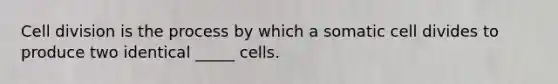 Cell division is the process by which a somatic cell divides to produce two identical _____ cells.