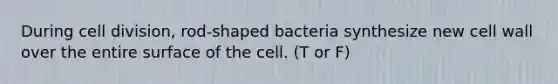 During cell division, rod-shaped bacteria synthesize new cell wall over the entire surface of the cell. (T or F)