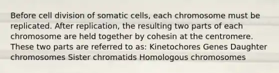 Before <a href='https://www.questionai.com/knowledge/kjHVAH8Me4-cell-division' class='anchor-knowledge'>cell division</a> of somatic cells, each chromosome must be replicated. After replication, the resulting two parts of each chromosome are held together by cohesin at the centromere. These two parts are referred to as: Kinetochores Genes Daughter chromosomes Sister chromatids Homologous chromosomes