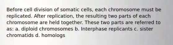 Before <a href='https://www.questionai.com/knowledge/kjHVAH8Me4-cell-division' class='anchor-knowledge'>cell division</a> of somatic cells, each chromosome must be replicated. After replication, the resulting two parts of each chromosome are held together. These two parts are referred to as: a. diploid chromosomes b. Interphase replicants c. sister chromatids d. homologs