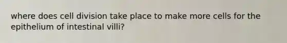 where does cell division take place to make more cells for the epithelium of intestinal villi?