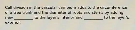 Cell division in the vascular cambium adds to the circumference of a tree trunk and the diameter of roots and stems by adding new __________ to the layer's interior and __________ to the layer's exterior.