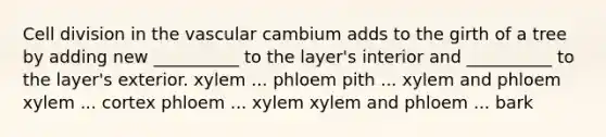 Cell division in the vascular cambium adds to the girth of a tree by adding new __________ to the layer's interior and __________ to the layer's exterior. xylem ... phloem pith ... xylem and phloem xylem ... cortex phloem ... xylem xylem and phloem ... bark