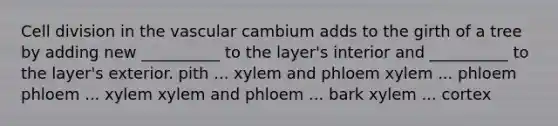 Cell division in the vascular cambium adds to the girth of a tree by adding new __________ to the layer's interior and __________ to the layer's exterior. pith ... xylem and phloem xylem ... phloem phloem ... xylem xylem and phloem ... bark xylem ... cortex