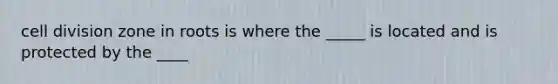 <a href='https://www.questionai.com/knowledge/kjHVAH8Me4-cell-division' class='anchor-knowledge'>cell division</a> zone in roots is where the _____ is located and is protected by the ____