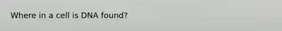 Where in a cell is DNA found?