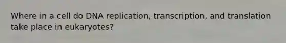 Where in a cell do DNA replication, transcription, and translation take place in eukaryotes?