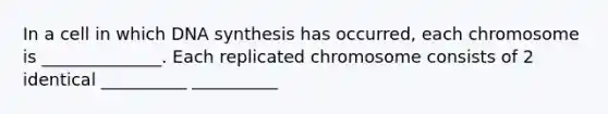 In a cell in which DNA synthesis has occurred, each chromosome is ______________. Each replicated chromosome consists of 2 identical __________ __________