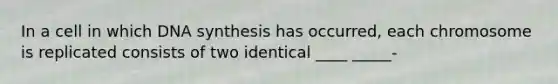 In a cell in which DNA synthesis has occurred, each chromosome is replicated consists of two identical ____ _____-