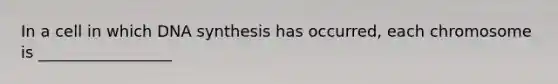 In a cell in which DNA synthesis has occurred, each chromosome is _________________