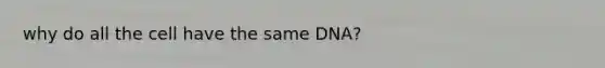 why do all the cell have the same DNA?