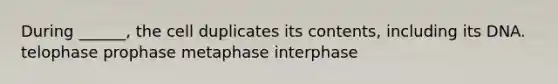 During ______, the cell duplicates its contents, including its DNA. telophase prophase metaphase interphase