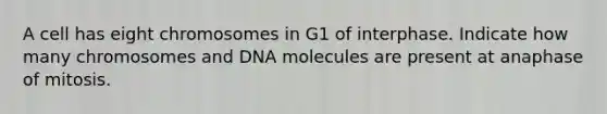 A cell has eight chromosomes in G1 of interphase. Indicate how many chromosomes and DNA molecules are present at anaphase of mitosis.