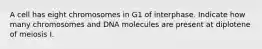 A cell has eight chromosomes in G1 of interphase. Indicate how many chromosomes and DNA molecules are present at diplotene of meiosis I.