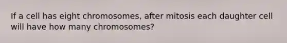 If a cell has eight chromosomes, after mitosis each daughter cell will have how many chromosomes?