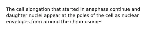 The cell elongation that started in anaphase continue and daughter nuclei appear at the poles of the cell as nuclear envelopes form around the chromosomes