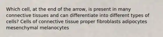 Which cell, at the end of the arrow, is present in many connective tissues and can differentiate into different types of cells? Cells of connective tissue proper fibroblasts adipocytes mesenchymal melanocytes