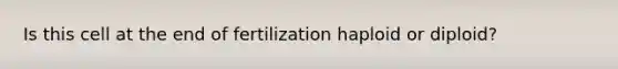 Is this cell at the end of fertilization haploid or diploid?
