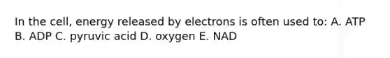 In the cell, energy released by electrons is often used to: A. ATP B. ADP C. pyruvic acid D. oxygen E. NAD