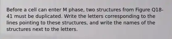 Before a cell can enter M phase, two structures from Figure Q18-41 must be duplicated. Write the letters corresponding to the lines pointing to these structures, and write the names of the structures next to the letters.