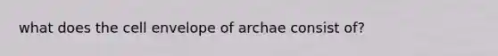 what does the cell envelope of archae consist of?