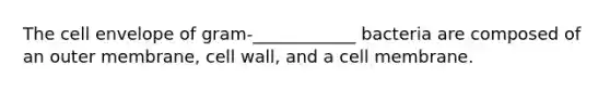 The cell envelope of gram-____________ bacteria are composed of an outer membrane, cell wall, and a cell membrane.