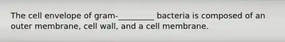 The cell envelope of gram-_________ bacteria is composed of an outer membrane, cell wall, and a cell membrane.