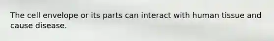 The cell envelope or its parts can interact with human tissue and cause disease.