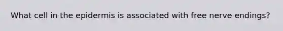 What cell in <a href='https://www.questionai.com/knowledge/kBFgQMpq6s-the-epidermis' class='anchor-knowledge'>the epidermis</a> is associated with free nerve endings?